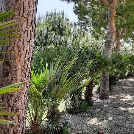 Casale Ginisara Séjour à la ferme