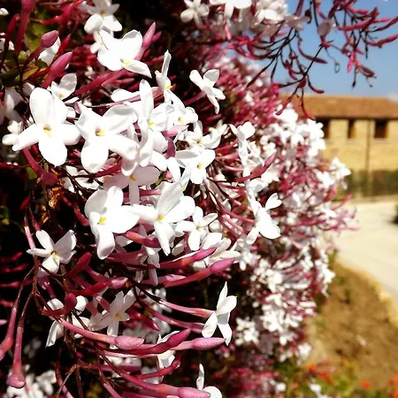 Séjour à la ferme Casale Ginisara Castellammare del Golfo